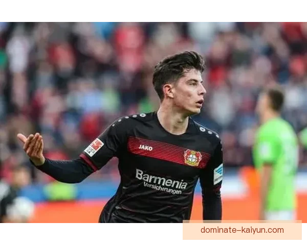 勒沃库森转会策略揭秘：年轻才俊与实力派的完美结合，值得关注未来发展趋势