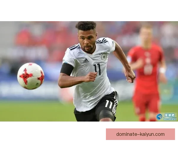 格纳布里未来发展潜力分析，表现稳健吸引关注