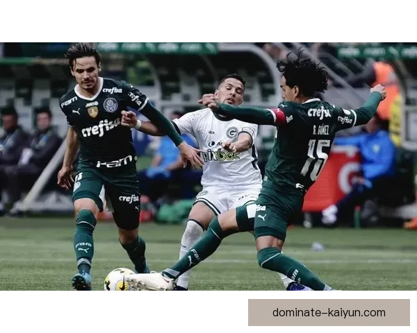 解放者杯最新冠军数据分析，球队表现持续提升，值得关注。